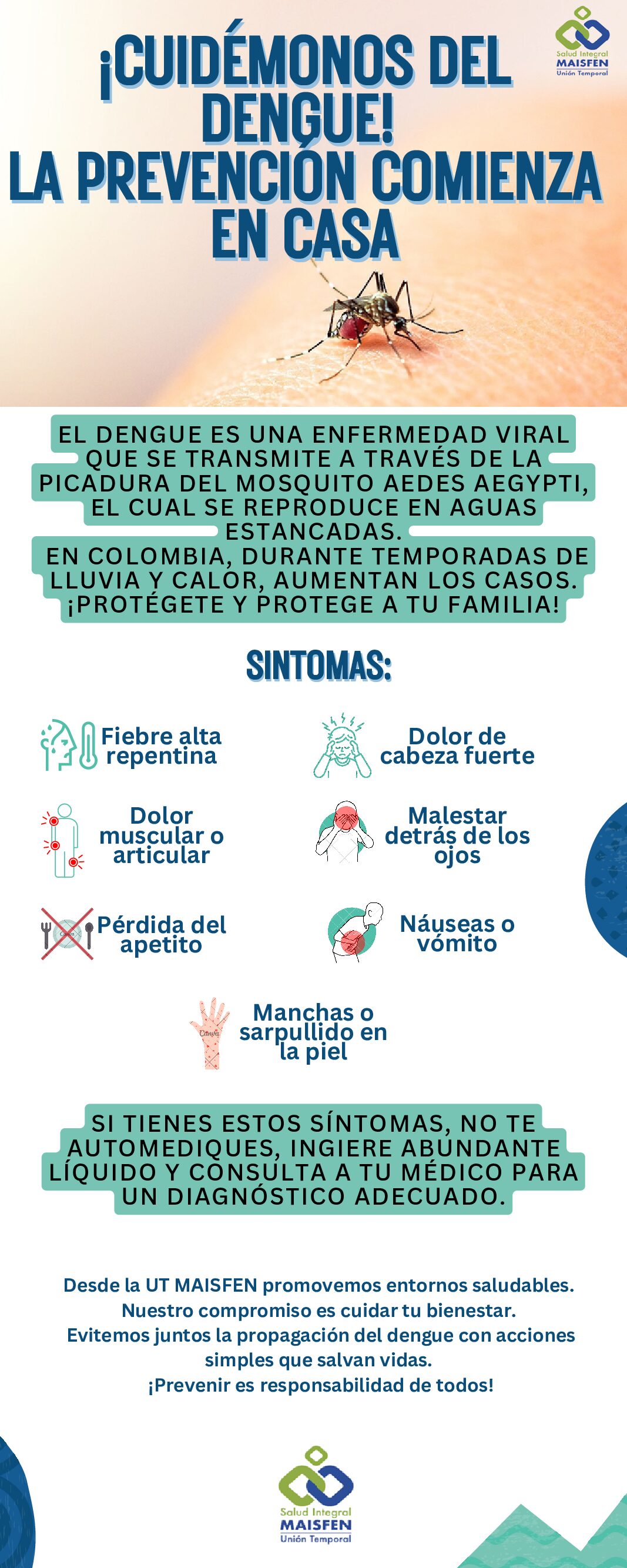INFOGRAFIA DENGUE - UT MAISFEN