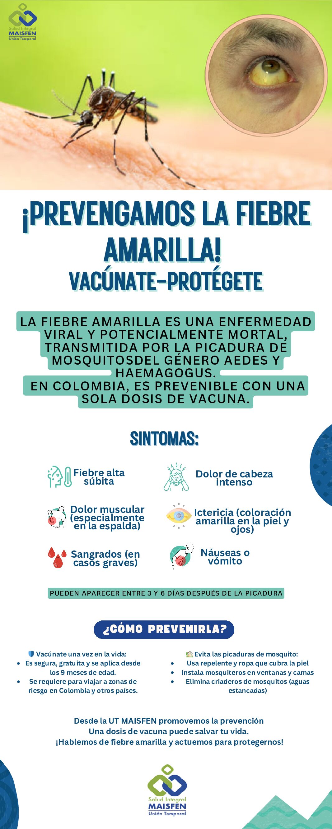INFOGRAFIA FIEBRE AMARILLA MAISFEN